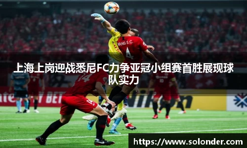 上海上岗迎战悉尼FC力争亚冠小组赛首胜展现球队实力